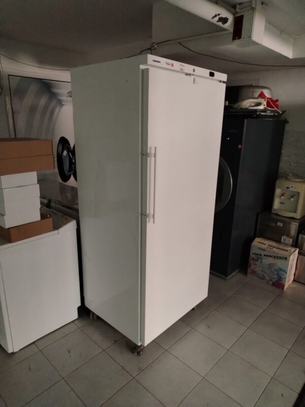 "Liebherr", polovna profi vitrina, ogromna, 572 litra, garancija 6 meseci - Image 4